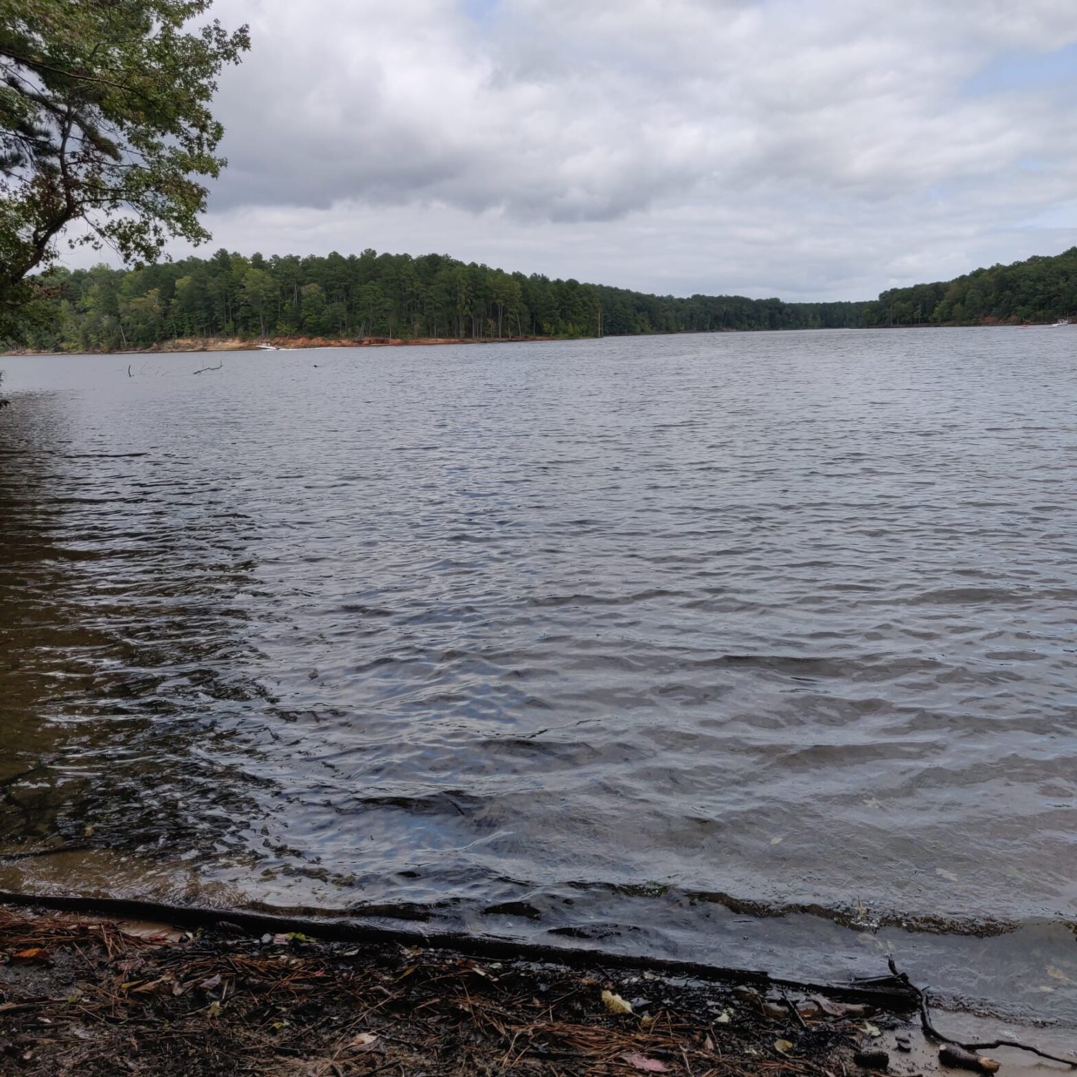 The Lakes Around the NC Triangle - NC Triangle Connection